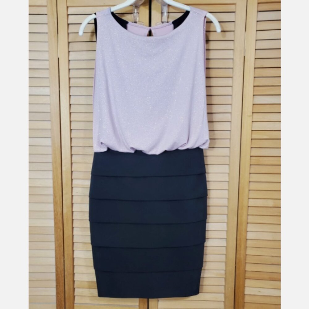 EnFocus Studio Sleeveless Blouson Shimmer Dress 4